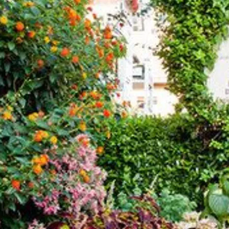 Vendégház Gaestehaus Merk Merk Gbr 3*